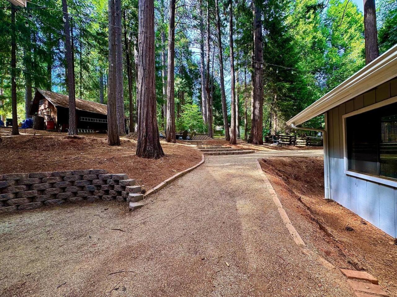 Cabin In The Trees-Game Room Pollock Pines Zewnętrze zdjęcie